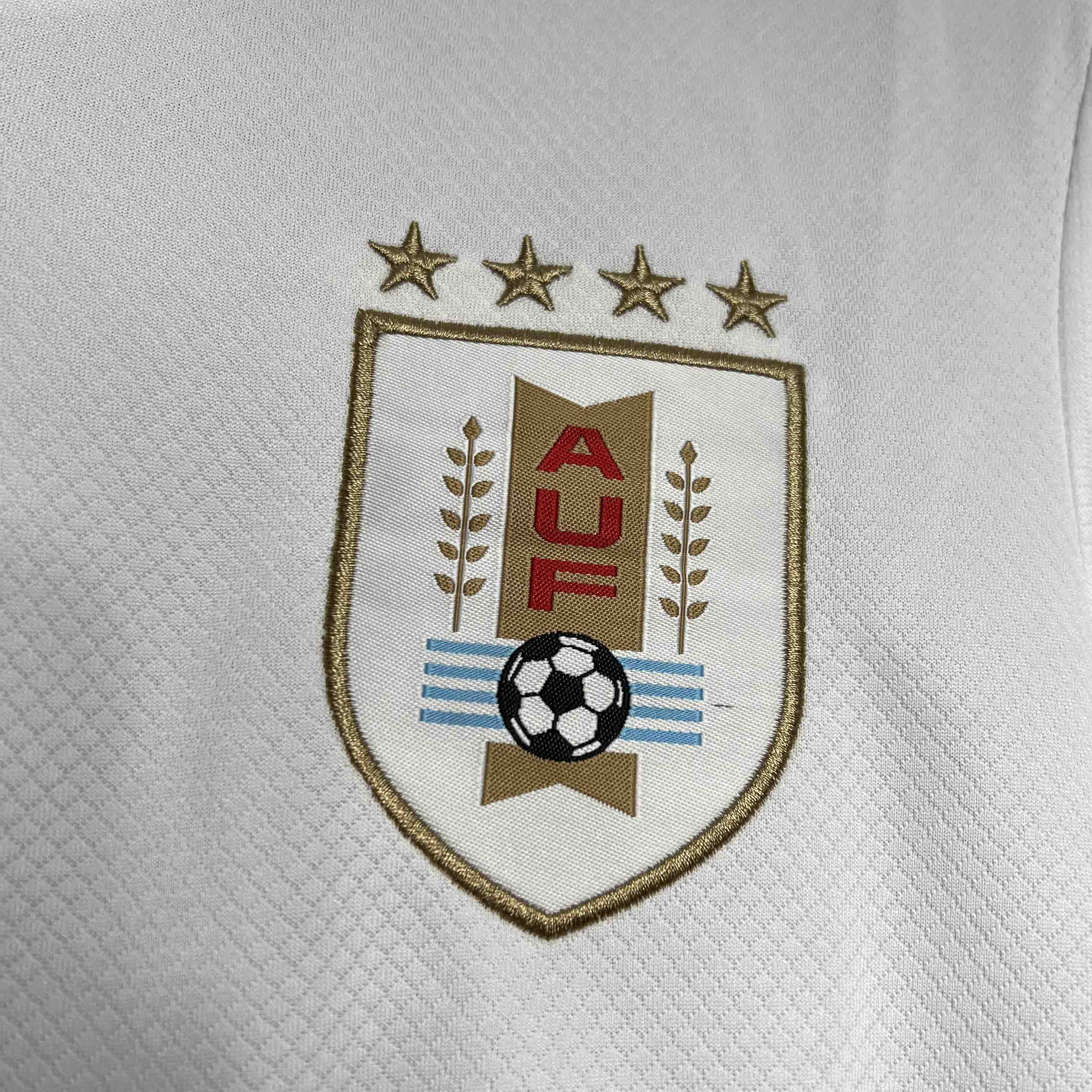 2024 Uruguay Copa America Away Soccer Jersey - view 5
