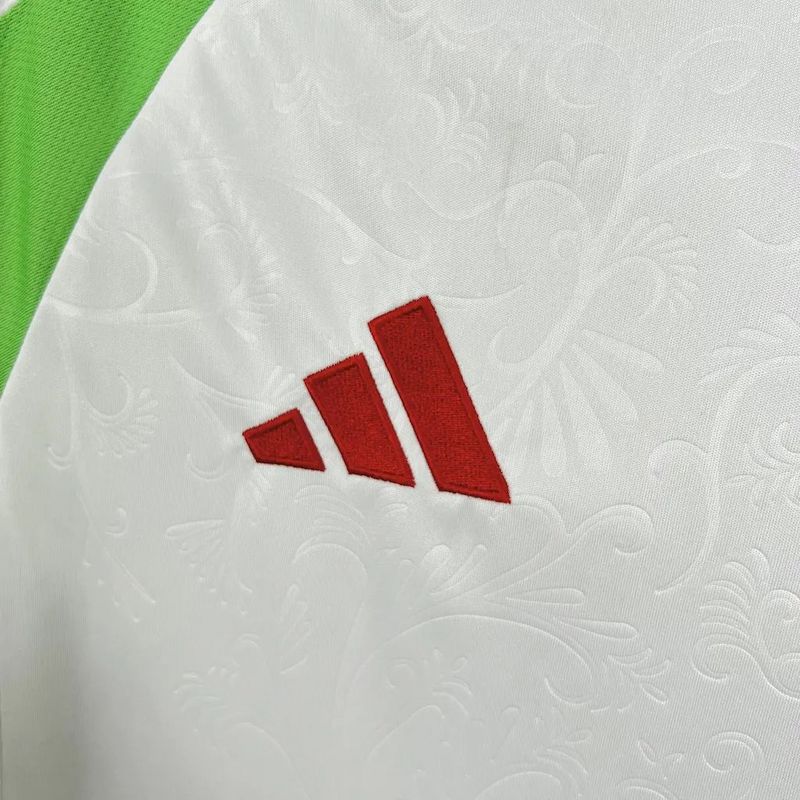 24-25 Algeria Home Soccer Jersey - view 4