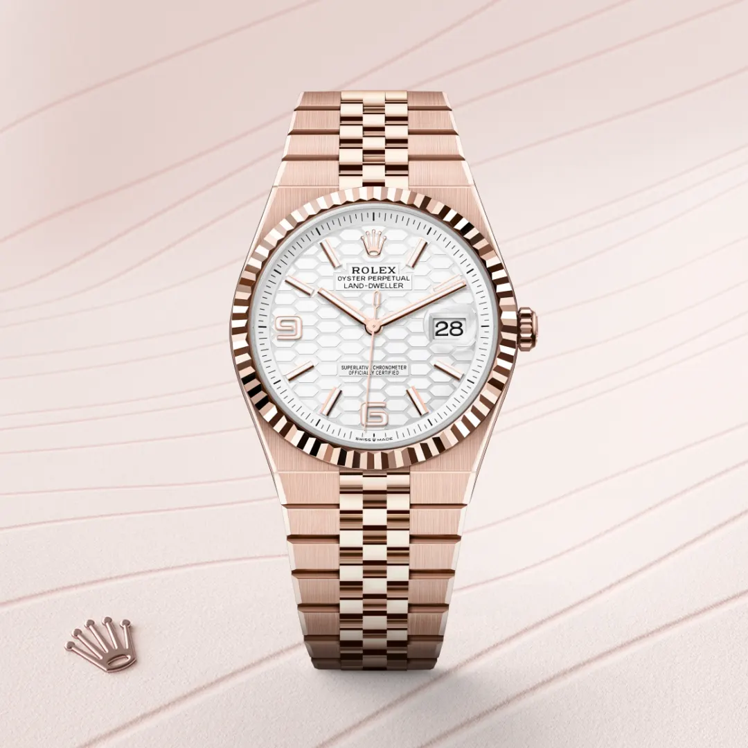 Rolex Land-Dweller 40 Intense White - gallery