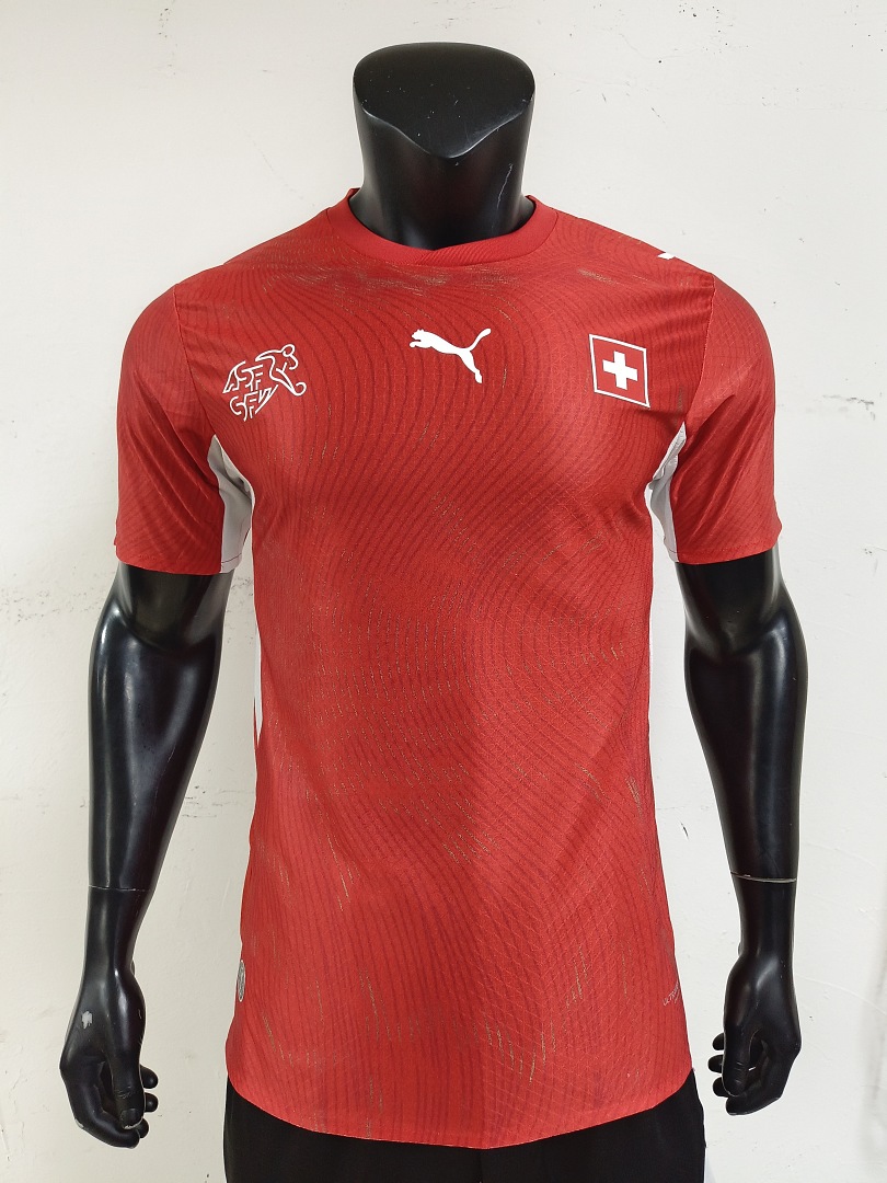 2026SwitzerlandHome - view 6