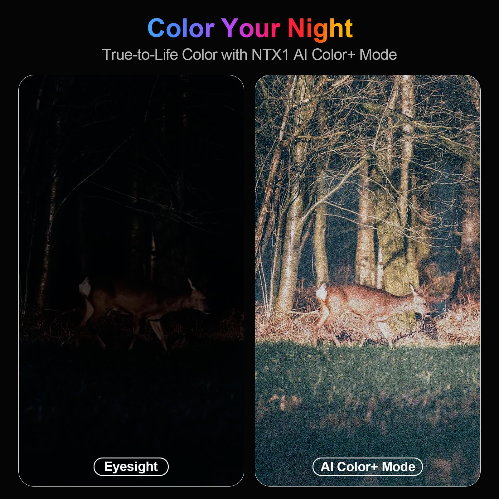 DS371 4K 52MP UHD Night Vision Binoculars Camera WIFI Infrared Digital Telescope Video Camcorder for Hunting with AI Color