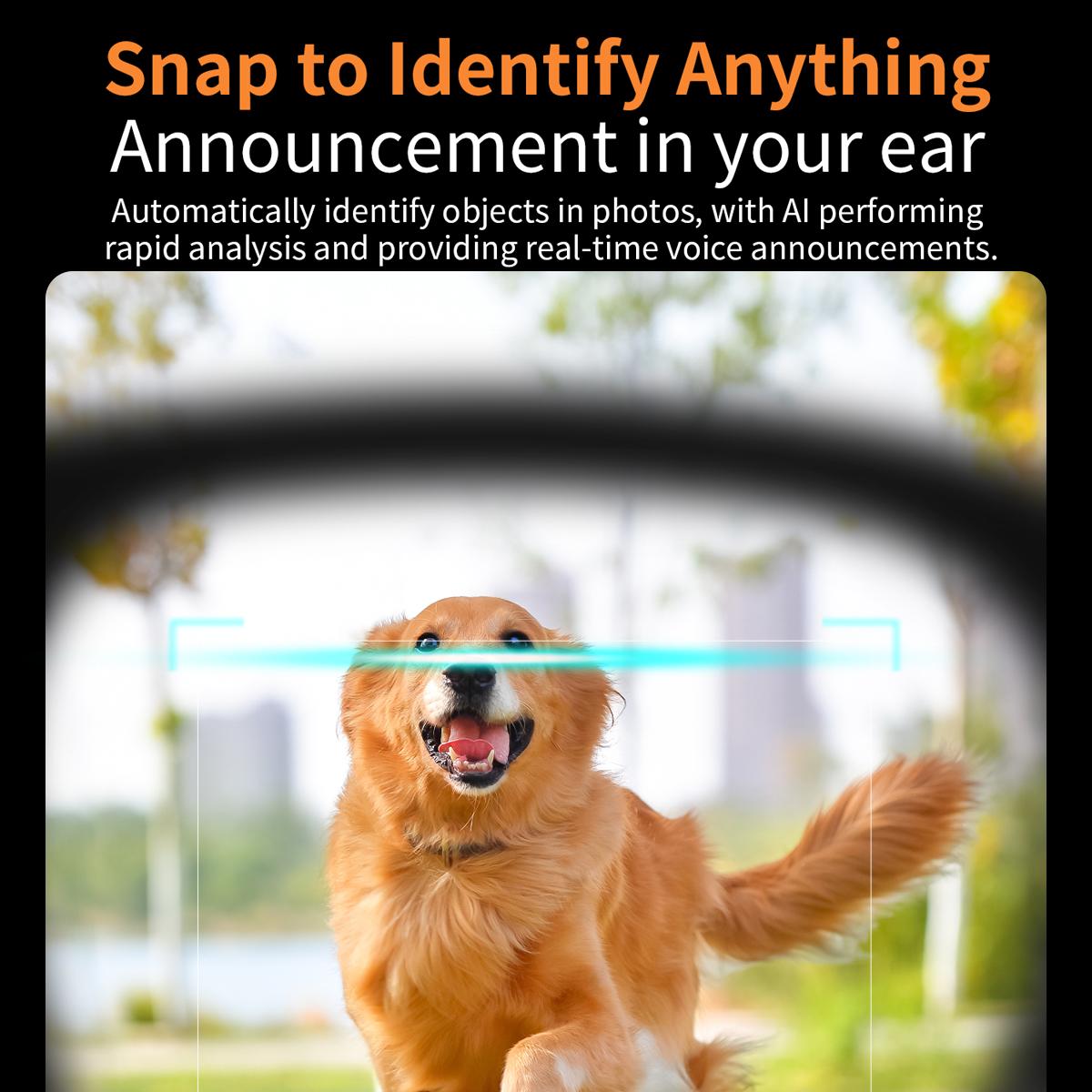 Smart Glasses, AI V3, with 8MP Camera, Compatible with ChatGPT  
Features: Bluetooth Calls, Voice Assistant, Video Recording, Music Player